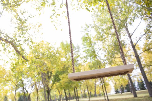 Cost of Tree Swing Installation in Turlock