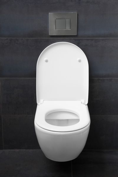 Cost of Toilet Lid Installation in Turlock