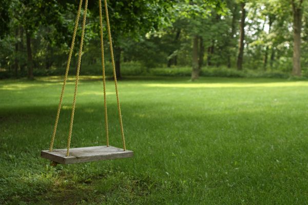 Cost of Rope Swing Installation in Turlock