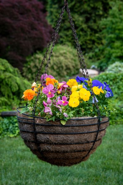 Cost of Hanging Basket Installation in Turlock