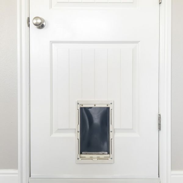 Cost of Pet Door Repair in Turlock