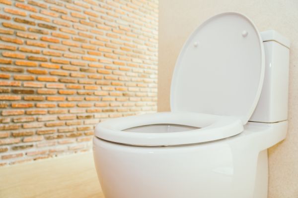 Cost of Toilet Seat Repair in Turlock